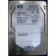HP 454228-001 146Gb 15k SAS HDD (Новошахтинск)