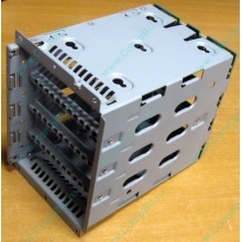 Корзина для HDD HP 454385-501 (459191-001) - Новошахтинск