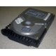 Жесткий диск 18.4Gb Quantum Atlas 10K III U160 SCSI (Новошахтинск)