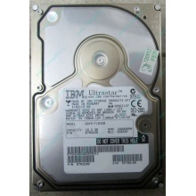 Жесткий диск 18.2Gb IBM Ultrastar DDYS-T18350 Ultra3 SCSI (Новошахтинск)