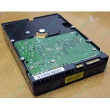 Б/У жёсткий диск 400Gb WD WD4000YR Caviar RE2 7200 rpm SATA  (Новошахтинск)