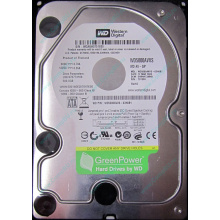 Жесткий диск 500Gb Western Digital WD5000AVVS 5400 rpm SATA (Новошахтинск)
