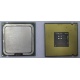 Процессор Intel Celeron D 336 (2.8GHz /256kb /533MHz) SL98W s.775 (Новошахтинск)
