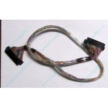 6017B0045301 в Новошахтинске, 68pin SCSI кабель 26.5" / 57cm для корзины HDD Intel SR2400 (Новошахтинск)