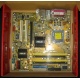 Материнская плата Asus P5L-VM 1394 s.775 (Новошахтинск)
